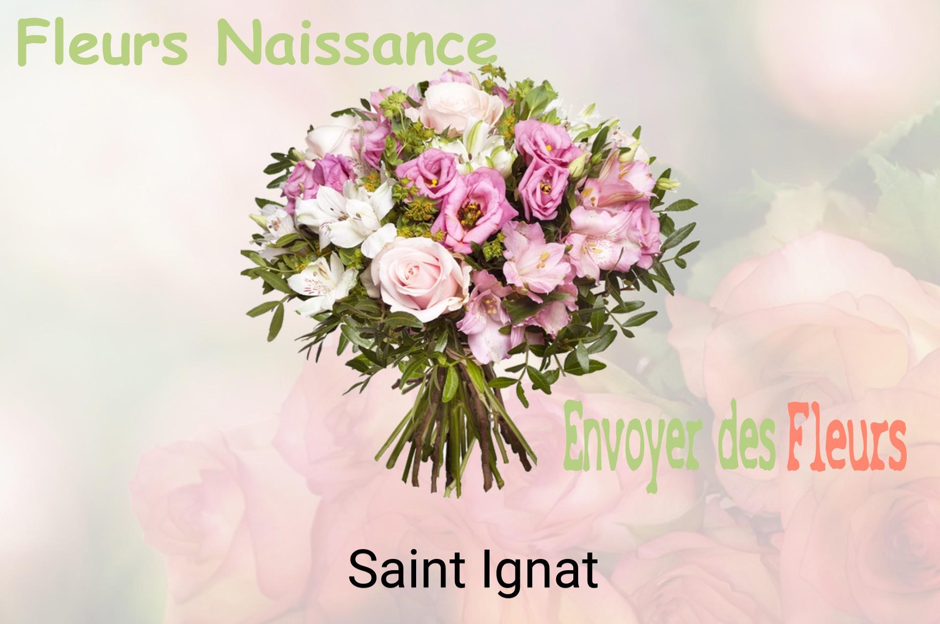 Bouquet de fleurs de naissance livré à Saint-Ignat