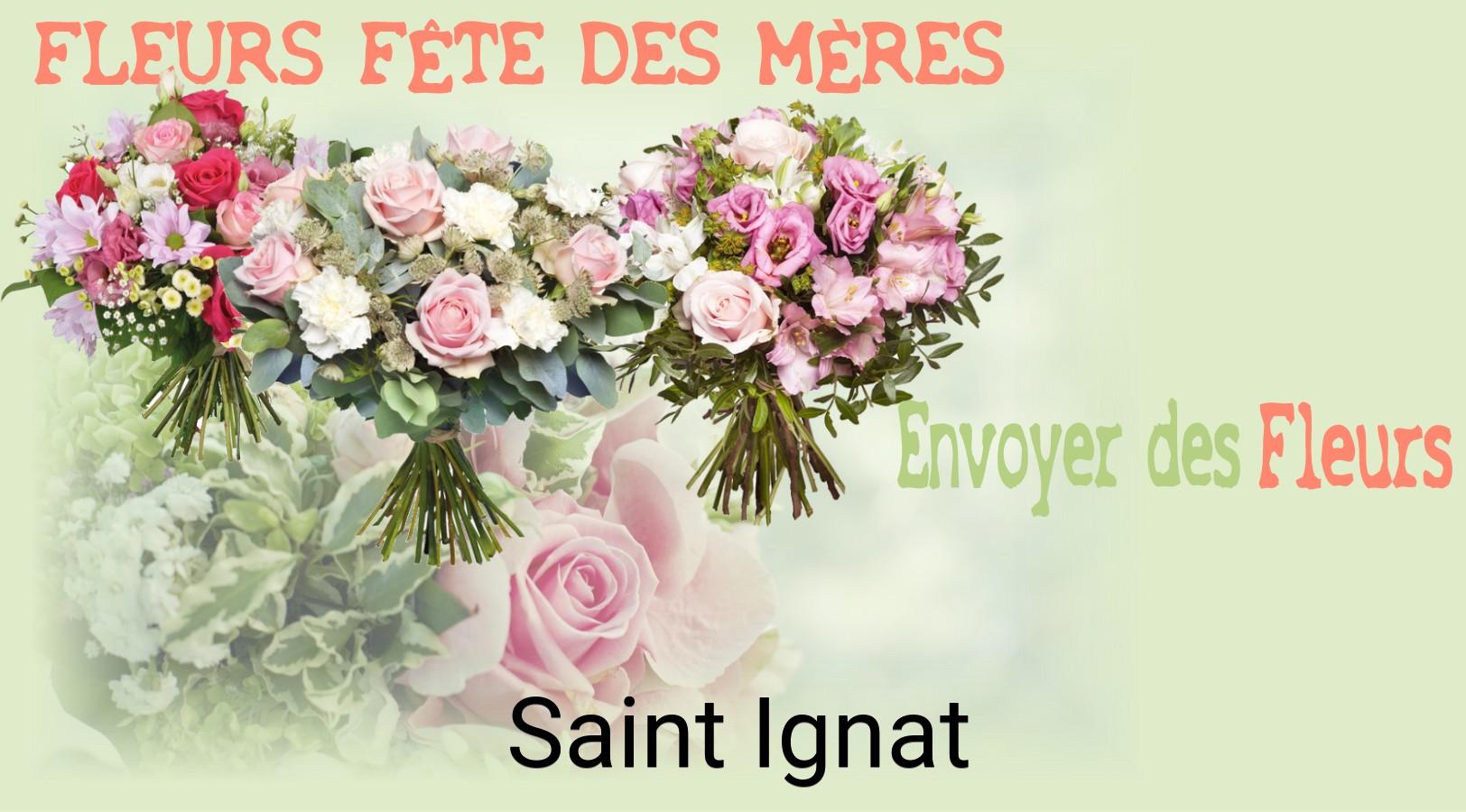 Bouquet de Fête des Mères livré à Saint-Ignat